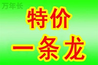 重庆市铜梁区大庙镇长途救护车转院怎么收费？
